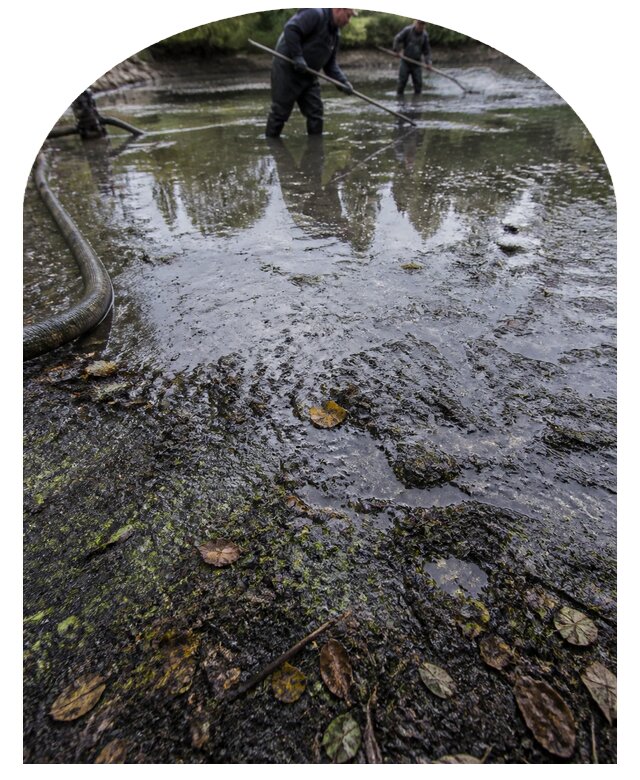 Очистка пруда в Коврове от ила мусора и водорослей с вывозом